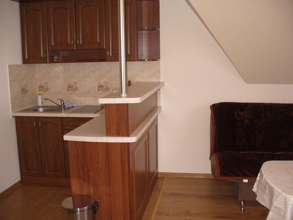 Willa Floryn Bukowina Tatrzańska Kamer foto
